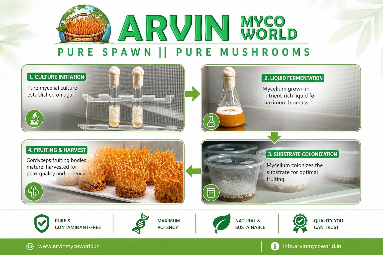 ARVIN MYCOWORLD mushroom farm