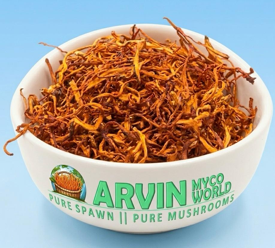 Dried Cordyceps Powder